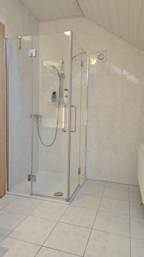 a shower with a glass door in a bathroom at Big 3-bedroom flat with new kitchen in Brienz