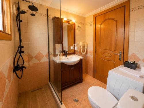 a bathroom with a shower and a toilet and a sink at Delphinus Villa Nefeli in Agios Nikitas