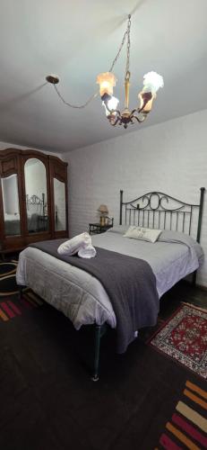 a bedroom with a large bed and a chandelier at Lodi House in Godoy Cruz