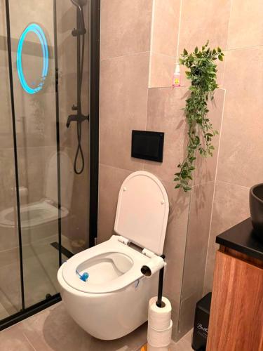 a bathroom with a toilet and a shower with a plant at Salt Square Residence in Tuzla