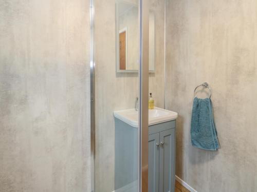 a bathroom with a shower and a white sink at Steam Cottage in Aviemore