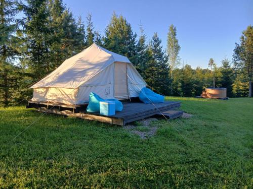 a tent in a field in a field at GLaMPLIFE,tünni ja suitsusaunaga in Kasaritsa