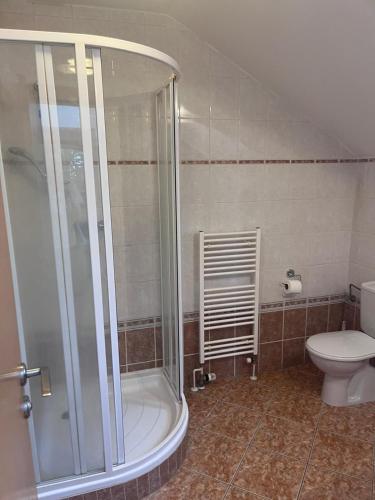 a bathroom with a shower and a toilet at Apartmány Kořenný in Korěnný