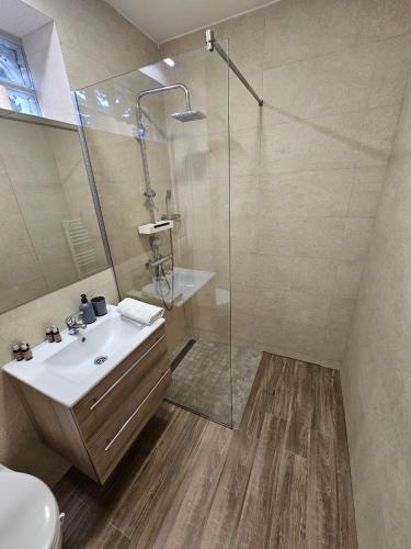 a bathroom with a shower and a sink and a toilet at Casa Toni in Bistriţa