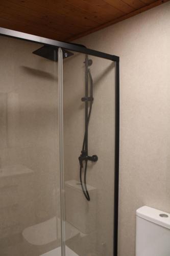 a shower with a glass door next to a toilet at La Divina 1 in Ribadavia