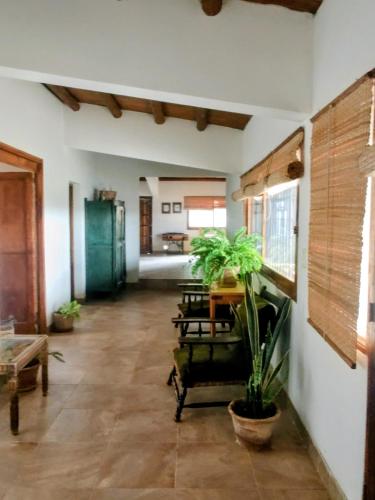 a room with a table and a potted plant at Refugio de Chacras in Ciudad Lujan de Cuyo