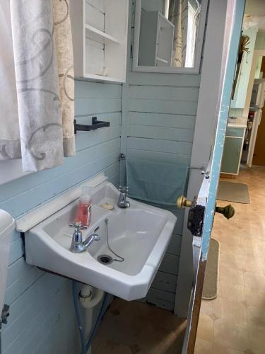 a bathroom with a white sink and a mirror at Waitomo Farmstay - Rimu Cottage 2 in Waitomo Caves
