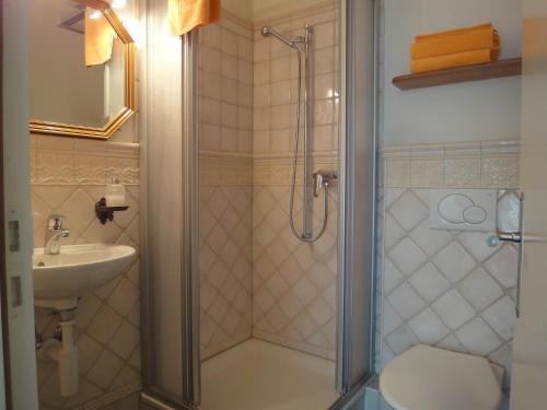 ein Bad mit einer Dusche, einem WC und einem Waschbecken in der Unterkunft 3 Camere in Basel