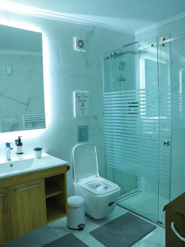 a bathroom with a toilet and a glass shower at Casa Dunia - 2 BR Open Sea View Apartment in Sahl ‘Almā