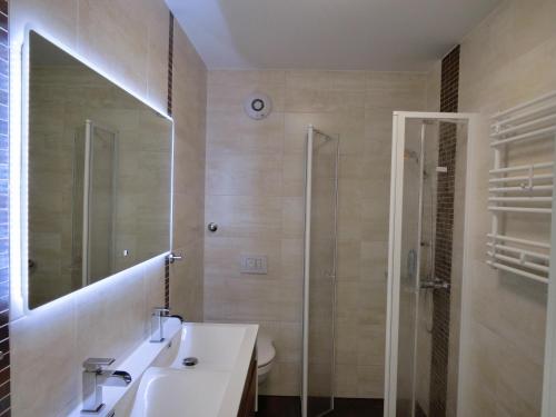 een badkamer met een wastafel en een douche bij Ostseetraum Graal-Müritz in Graal-Müritz