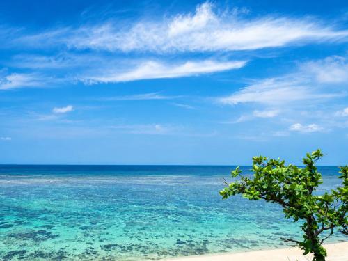 Ishigaki Guesthouse HIVE