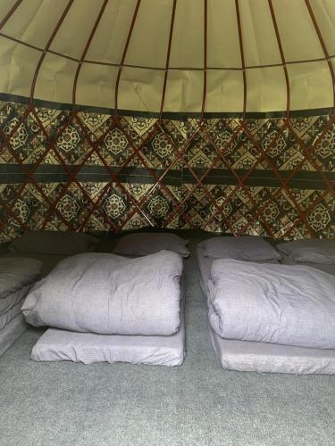 a tent with two white pillows under it at Kerben Yurt Camp Arashan in Mineralʼnyy Istochnik Altyn-Arasan