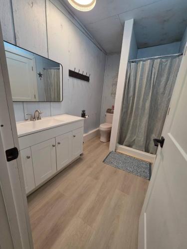 a bathroom with a sink and a toilet and a mirror at River Run Bo's Place in Kerrville