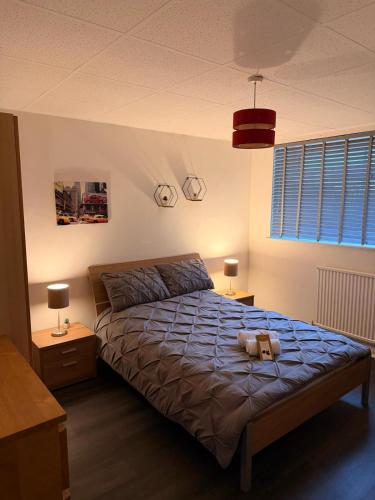 Cosy & Modern 2 Bedroom Apartment photo 14