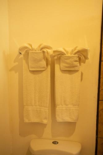 a bathroom with white towels hanging above a toilet at Terrazas del Golfo in La Palma