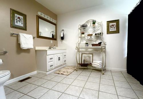 a bathroom with a toilet and a sink and a fireplace at Mallard Cove - lakeside pet friendly in Robbinsville
