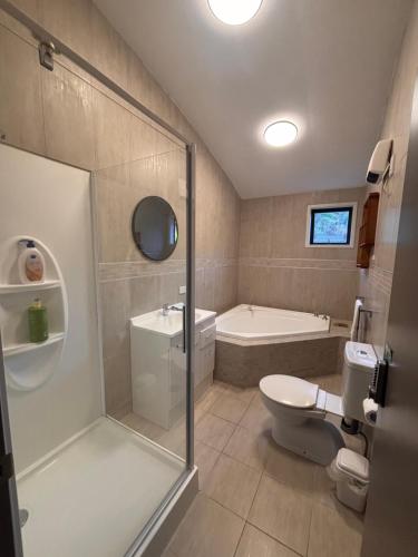 a bathroom with a shower and a toilet and a tub at Closeburn LakeView House in Queenstown
