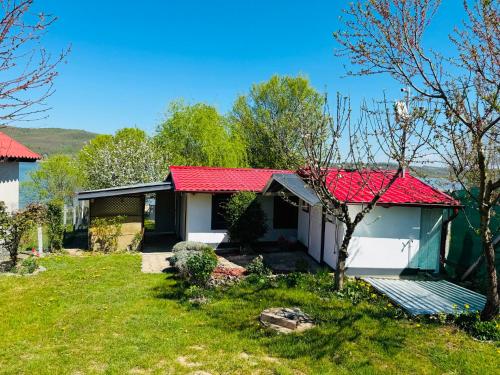 a house with a red roof and a yard at Casa de vacanta 483A, Lacul Surduc in Fîrdea