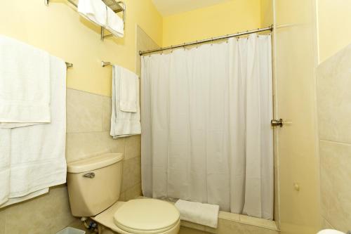 a bathroom with a toilet and a shower at Jasmine Inn in Kingston