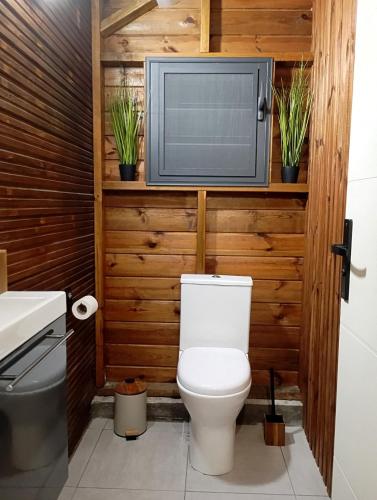 a bathroom with a toilet and a tv on a wall at Lodge de Charme Vue Imprenable in Le Robert