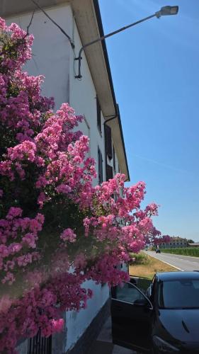 a tree with pink flowers on the side of a building at Casa Maddalena in Casatisma