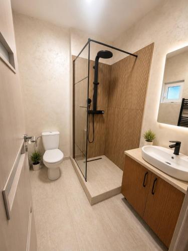 a bathroom with a shower and a toilet and a sink at Vila Ioana in Ştefăneşti