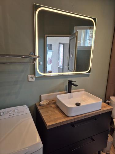 a bathroom with a sink and a mirror at Gite Normandie in Forges-les-Eaux