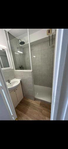 a bathroom with a sink and a shower with a mirror at Appartement Ipanema Sud in Canet-en-Roussillon
