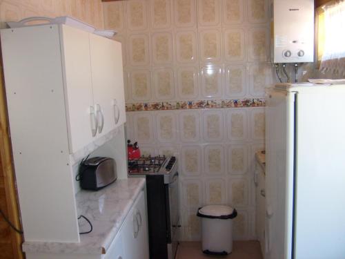 a small kitchen with white cabinets and a refrigerator at Cabañas Los Castaños in Licán Ray