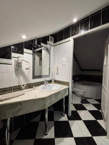 a black and white bathroom with a sink and a toilet at Albatros in Chełm