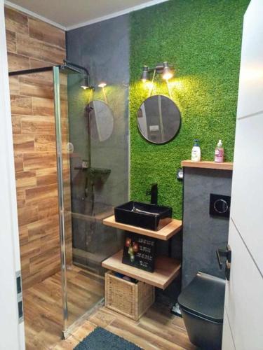 a bathroom with a shower with a green wall at Golf Green Resort - Hesperus 2 in Hrubá Borša