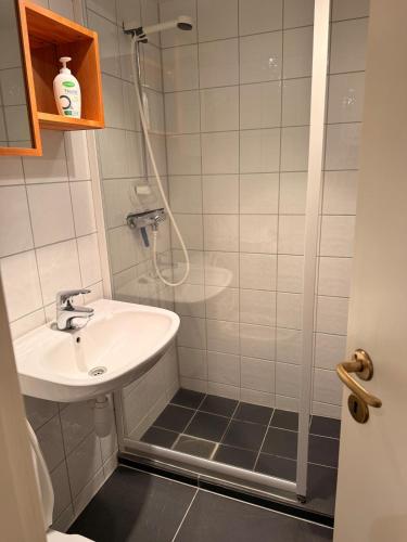 a bathroom with a sink and a shower at Bortelidseter in Åseral