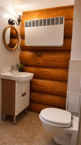 a bathroom with a toilet and a air conditioner on a wall at Wolf's House in Gura Râului