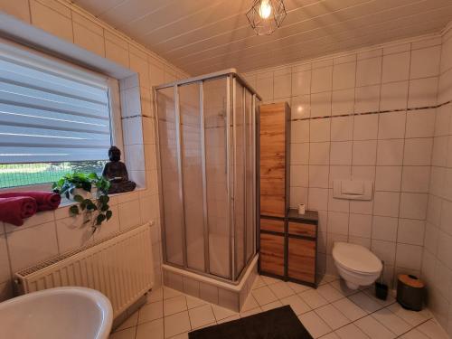 a bathroom with a shower and a toilet and a sink at Modernes Apartment mit Terasse in Lügde