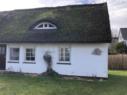 a white house with a thatched roof at Ferienhaus Präkel in Kloster