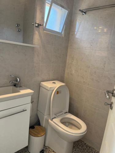 a bathroom with a toilet and a sink at Polylimnio landscape in Groustésion