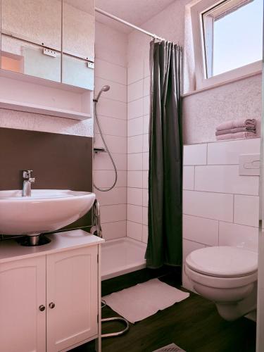 a bathroom with a sink and a toilet and a shower at Apartmenthaus Schlanow in Detmold