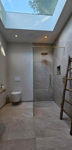 a bathroom with a shower and a toilet and a skylight at B&B La Rivé in Maastricht