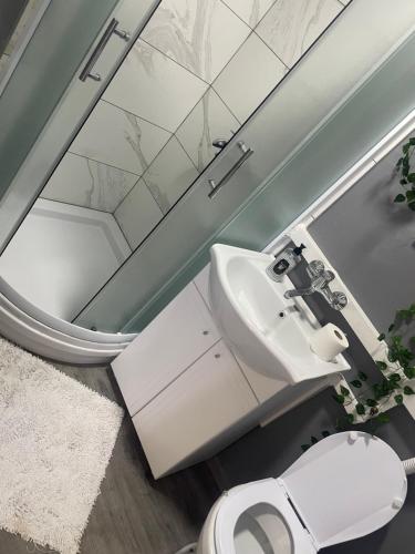 a bathroom with a sink and a toilet at Apartmani Petra in Novi Sad
