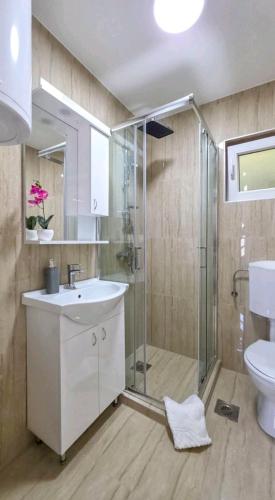 a bathroom with a shower and a sink and a toilet at Vila Vidovic Drina in Bajina Bašta