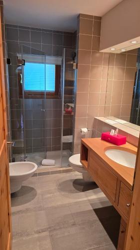 a bathroom with a shower and a sink and a toilet at Splendida e soliva dimora con giardino in La Punt-Chamues-ch