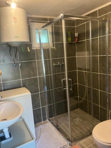 a bathroom with a shower with a toilet and a sink at Orchidea Apartman in Bačka Topola