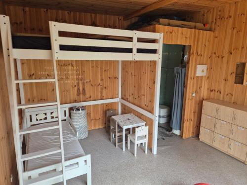 a room with a bunk bed and a ladder at Zilvitis in Karklė