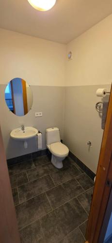 a bathroom with a toilet and a sink and a mirror at LionEstateHostel in Liepāja