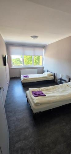 a room with three beds and a window at LionEstateHostel in Liepāja