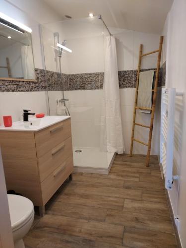 a bathroom with a shower and a toilet and a sink at Cabane & Jardin in La Tremblade