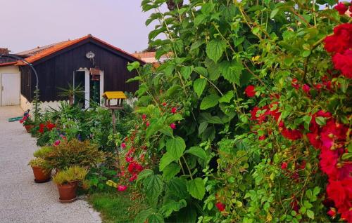 a garden with red flowers in front of a building at Cabane & Jardin in La Tremblade