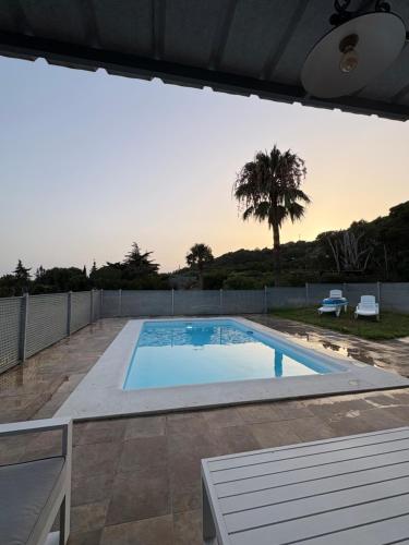 a large swimming pool in a backyard with a palm tree at Finca Dos Vientos Tarifa in Tarifa