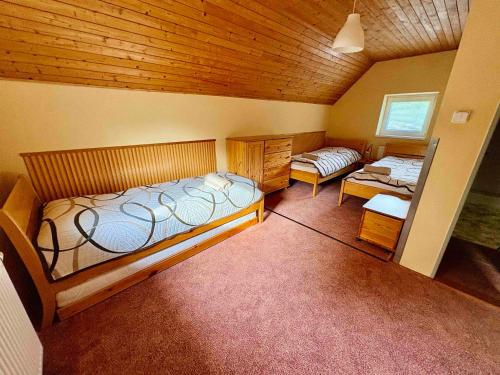 a bedroom with two beds in a room at Chalupa v Beskydech in Trojanovice