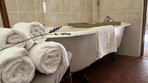 a bathroom with a bath tub with towels on it at Bramleigh Farm in Nottingham Road